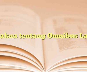 Makna tentang Omnibus Law