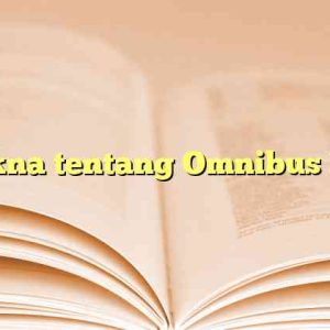 Makna tentang Omnibus Law